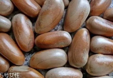 榴蓮蜜怎么吃？不同的吃法風(fēng)格