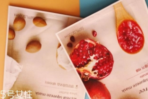 悅詩風吟面膜成分表 成分分析 悅詩風吟面膜成分表 成分分析