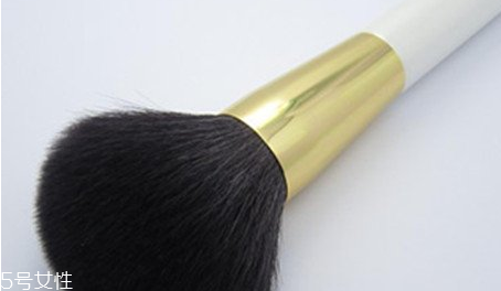 散粉刷什么毛的材質(zhì)好 散粉刷這樣蘸取散粉 散粉刷什么毛的材質(zhì)好 散粉刷這樣蘸取散粉