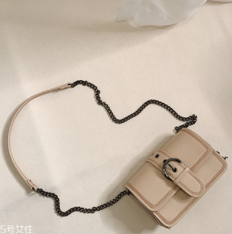 迷你包包什么款式好看？時髦精都在拎它