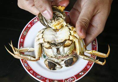 陽(yáng)澄湖大閘蟹怎么吃？食陽(yáng)澄湖大閘蟹注意事項(xiàng)