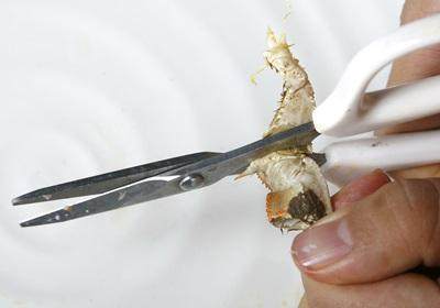 陽(yáng)澄湖大閘蟹怎么吃？食陽(yáng)澄湖大閘蟹注意事項(xiàng)