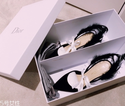 dior高跟鞋多少錢？演繹法式優(yōu)雅