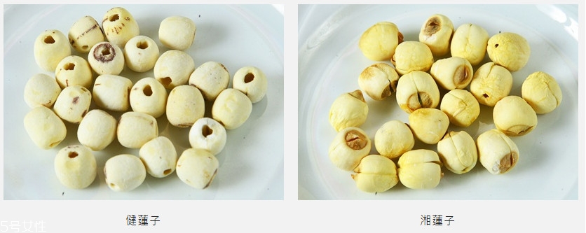 干蓮子怎么去心和挑選 干蓮子怎么去心和挑選