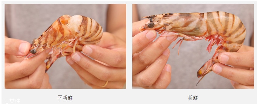 新鮮基圍蝦怎么選和保存 新鮮基圍蝦怎么選和保存