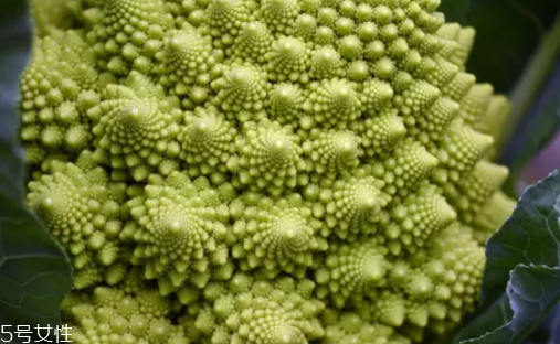 花菜在冰箱能放幾天？不要超過7天