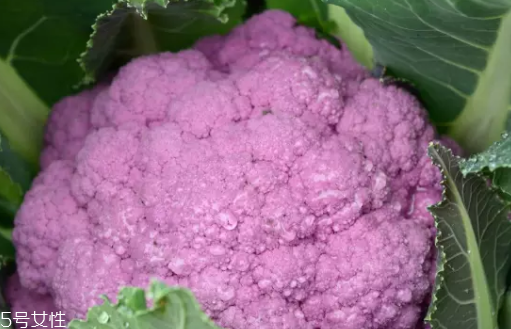 花菜在冰箱能放幾天？不要超過7天