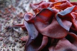 血耳多少錢一斤？來自大山的饋贈