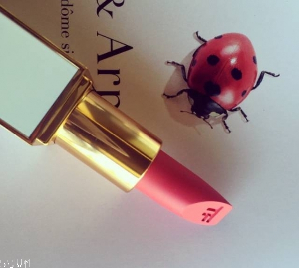 第一次買(mǎi)口紅買(mǎi)什么牌子 給你最靚麗的裝扮 第一次買(mǎi)口紅買(mǎi)什么牌子 給你最靚麗的裝扮