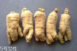 西洋參會(huì)回奶嗎？不用擔(dān)心這個(gè)問題