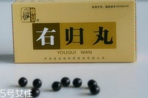 右歸丸適用人群 這些人都適合 右歸丸適用人群 這些人都適合