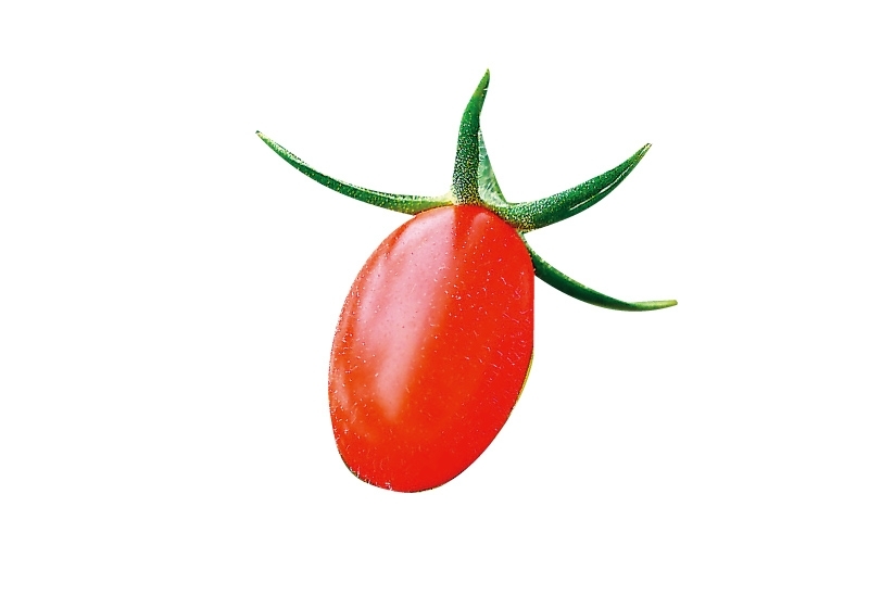 小番茄有哪些品種 小番茄的營養(yǎng)成分介紹 小番茄有哪些品種 小番茄的營養(yǎng)成分介紹