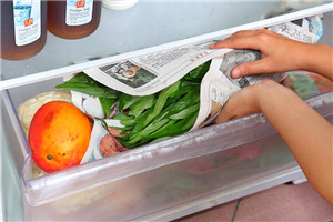 冰箱里的食物怎么擺放 冰箱里的東西擺放圖解 冰箱里的食物怎么擺放 冰箱里的東西擺放圖解