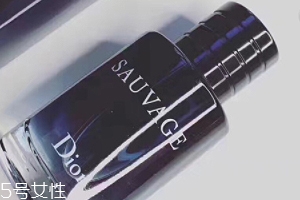 迪奧曠野和桀驁哪個好？曠野香水適合暖男