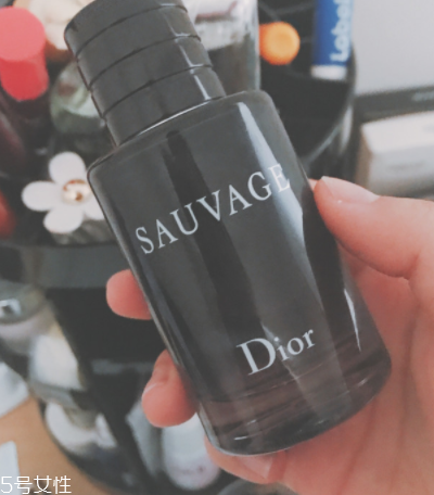迪奧曠野和桀驁哪個好？曠野香水適合暖男
