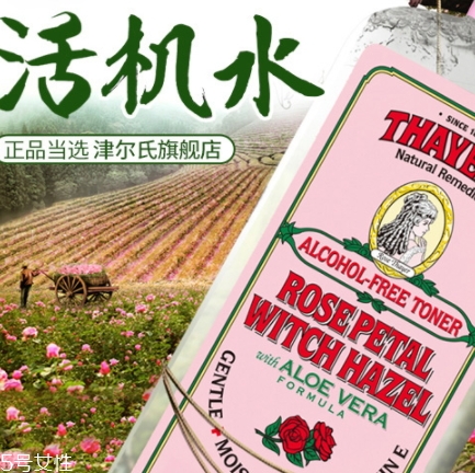 北美金縷梅的功效與作用 北美金縷梅的功效與作用