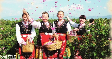 純露怎么用？居然有8種用法