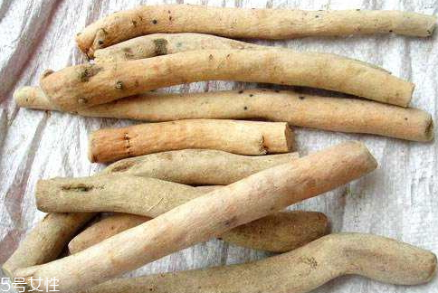 白芍可以治療口臭嗎 白芍治療口臭配方 白芍可以治療口臭嗎 白芍治療口臭配方