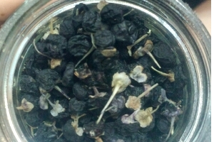 黑枸杞能和菊花一起泡嗎？這個搭配沒毛病