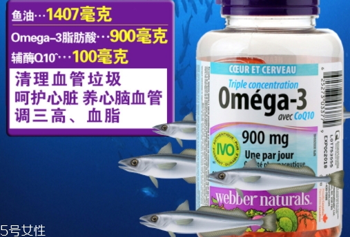 webber naturals魚油怎么吃？3倍濃縮深海魚油