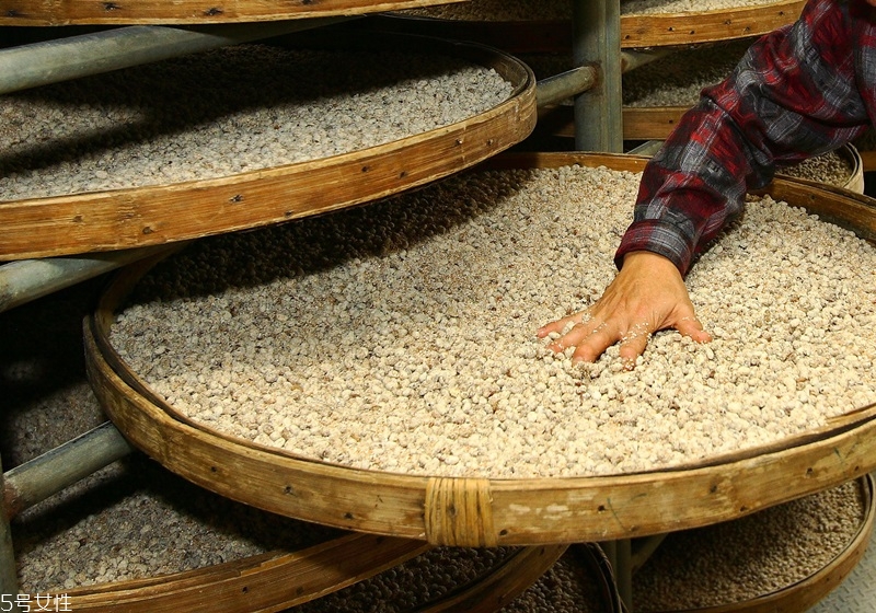 白醬油是什么 白醬油制作流程 白醬油是什么 白醬油制作流程