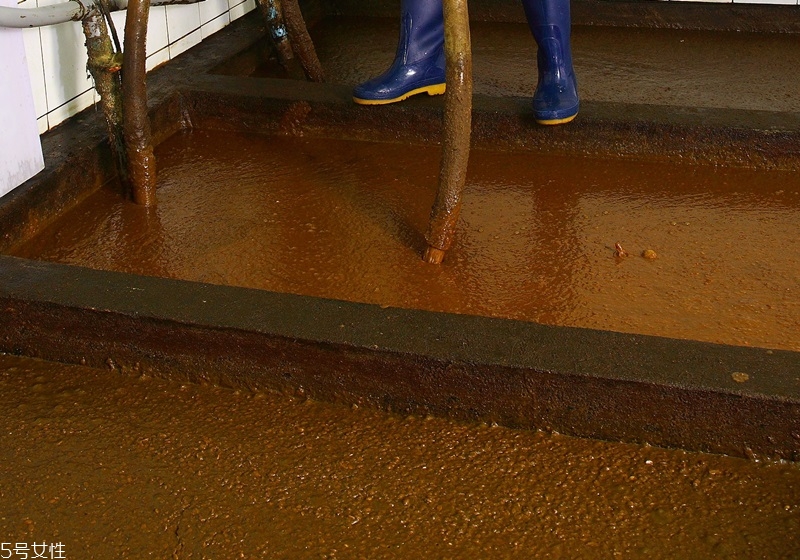 白醬油是什么 白醬油制作流程 白醬油是什么 白醬油制作流程