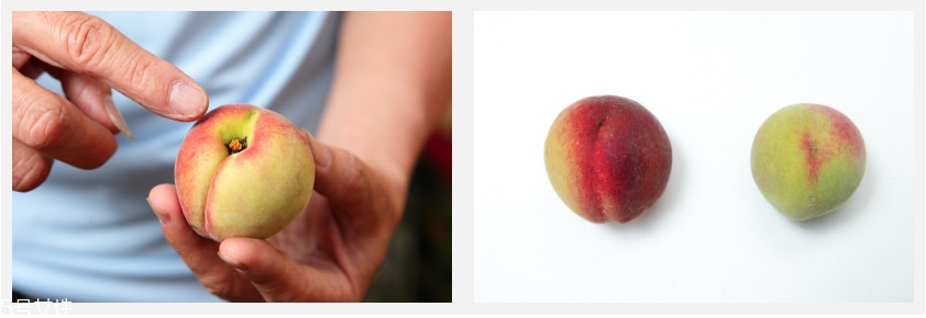 水果越大越好吃嗎 不一定 水果越大越好吃嗎 不一定