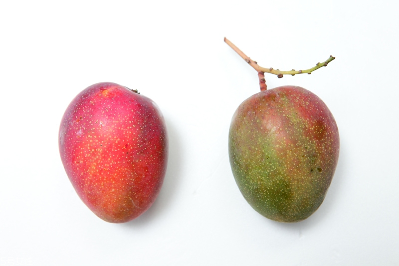 水果越大越好吃嗎 不一定 水果越大越好吃嗎 不一定