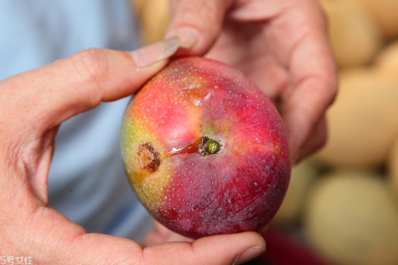 水果越大越好吃嗎 不一定 水果越大越好吃嗎 不一定