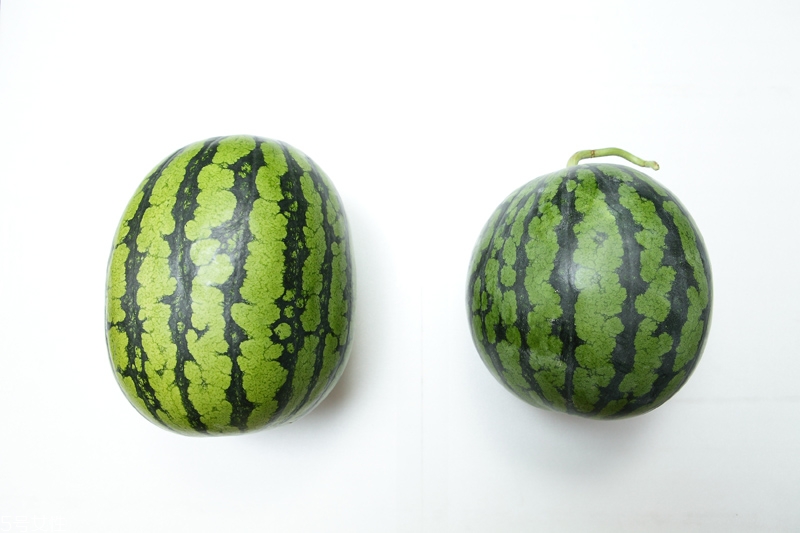 水果越大越好吃嗎 不一定 水果越大越好吃嗎 不一定