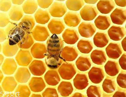 vitamin world天然蜂膠膠囊怎么樣？