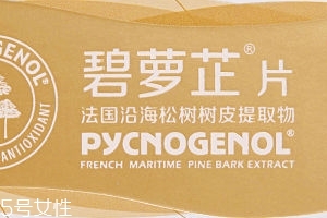 碧蘿芷到底好不好？帶你了解碧蘿芷