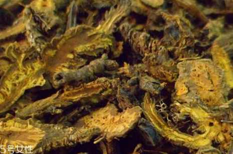 黃連可以治療濕疹嗎 黃連治療濕疹配方 黃連可以治療濕疹嗎 黃連治療濕疹配方