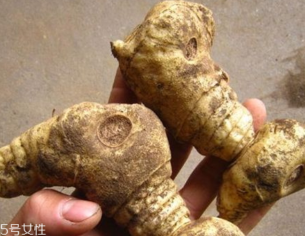 黃精多少錢(qián)一斤 黃精的大小和品質(zhì)決定 黃精多少錢(qián)一斤 黃精的大小和品質(zhì)決定