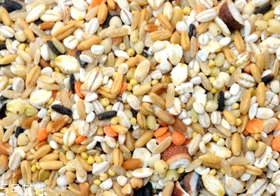 吃什么菜可以排毒 排毒最快最好的菜推薦 吃什么菜可以排毒 排毒最快最好的菜推薦