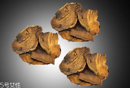 大黃是涼性的嗎 性寒味苦 大黃是涼性的嗎 性寒味苦