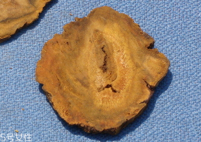 大黃是涼性的嗎 性寒味苦 大黃是涼性的嗎 性寒味苦