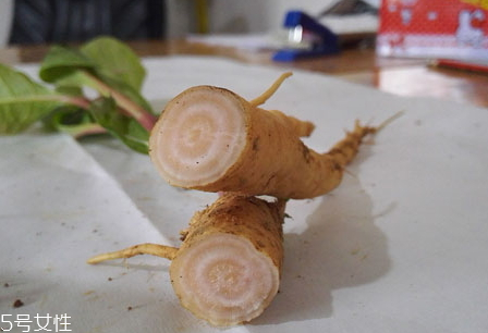 商陸可以泡酒嗎 商陸含有毒成分 商陸可以泡酒嗎 商陸含有毒成分