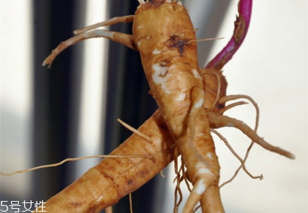 商陸可以泡酒嗎 商陸含有毒成分 商陸可以泡酒嗎 商陸含有毒成分