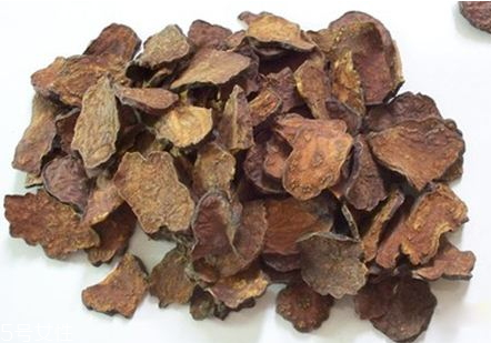 何首烏是熱性還是涼性 禁忌人群 何首烏是熱性還是涼性 禁忌人群