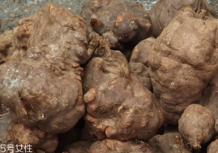 何首烏是熱性還是涼性 禁忌人群 何首烏是熱性還是涼性 禁忌人群