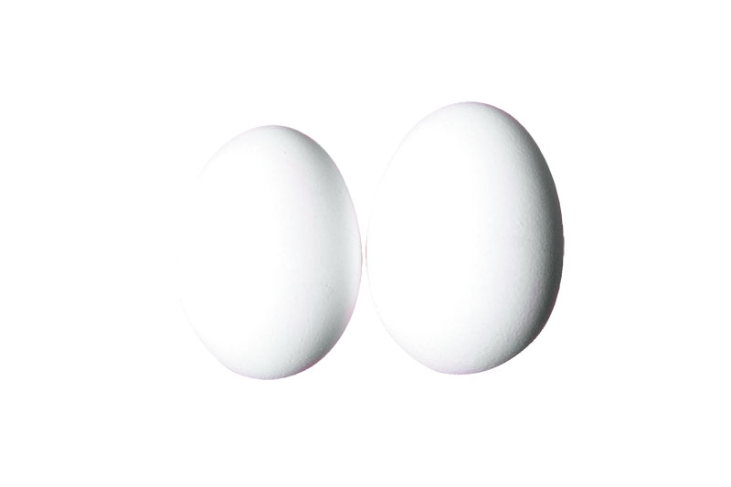 雞蛋保鮮方法 雞蛋哪頭朝上可以保鮮 雞蛋保鮮方法 雞蛋哪頭朝上可以保鮮