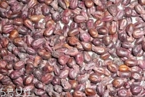 葡萄籽可以祛斑嗎？葡萄籽祛斑很靠譜
