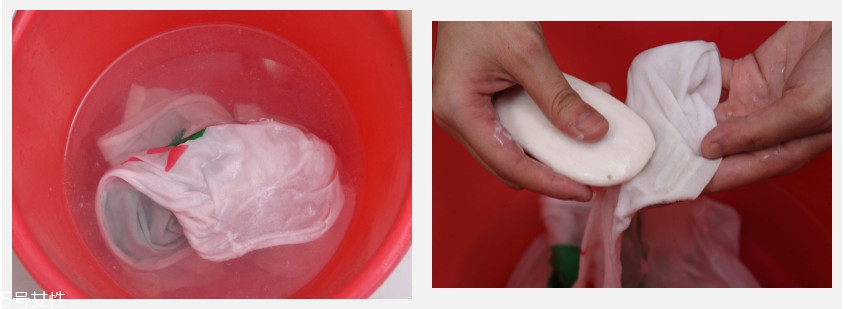 洗米水的用途有哪些 洗米水的用途有哪些