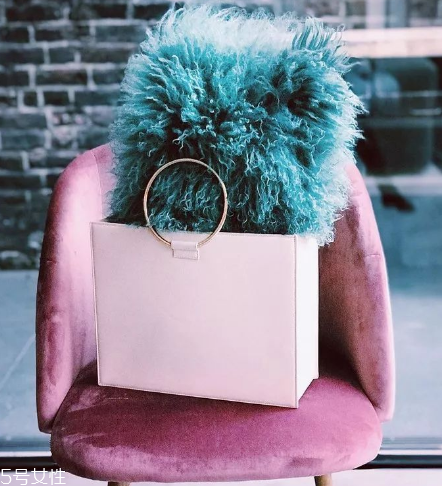 tara zadeh是什么牌子？背出與眾不同的風(fēng)采