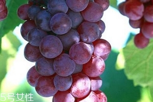 葡萄籽會推遲月經(jīng)嗎？一般不會