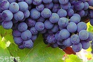 葡萄籽會(huì)長痘嗎？沒有這個(gè)情況