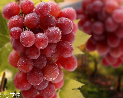 葡萄籽會(huì)長痘嗎？沒有這個(gè)情況