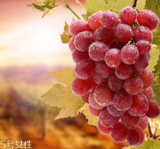 葡萄籽會(huì)影響睡眠嗎？這個(gè)肯定不會(huì)