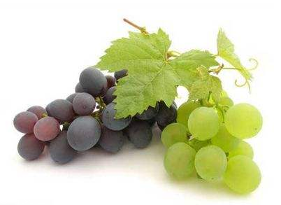 葡萄籽好還是膠原蛋白好？各有千秋